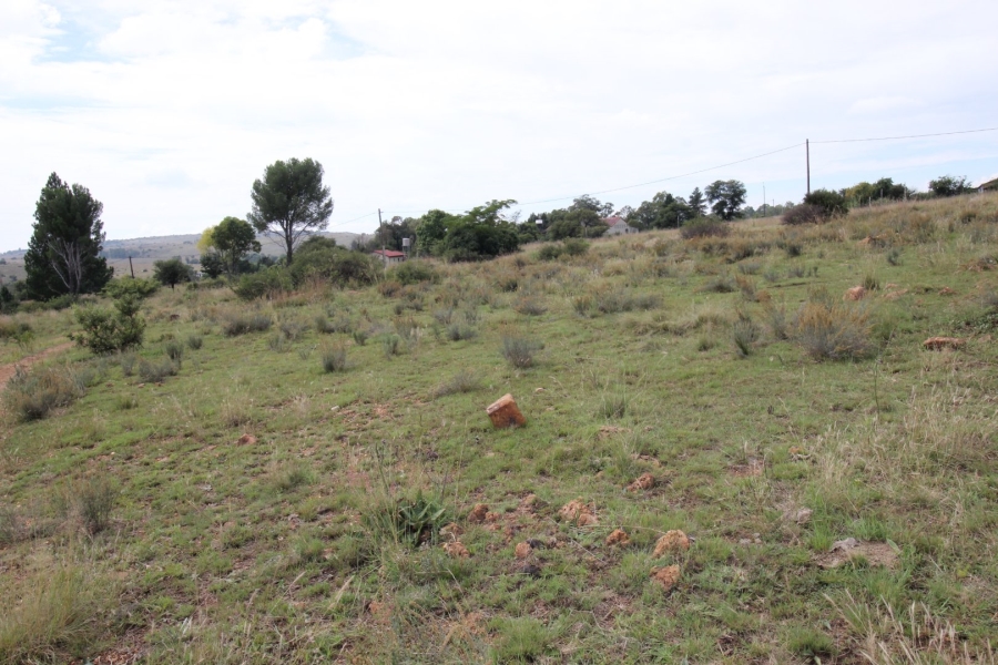 3 Bedroom Property for Sale in Lake Deneysville Free State